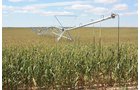 Property photo 101 - LAND AUCTION, 3255+/- Acres offered in 13 Tracts